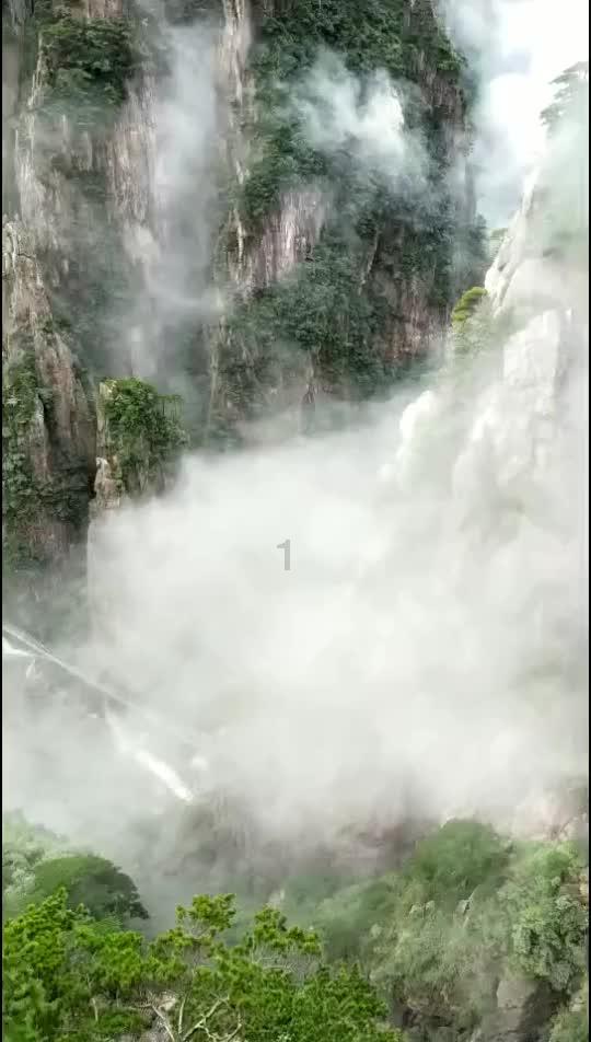 侍忍者